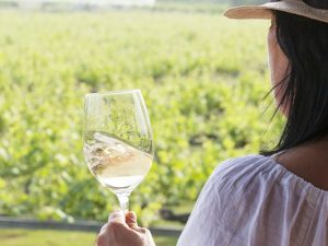 Испанское вино: несколько неожиданных винодельческих фактов